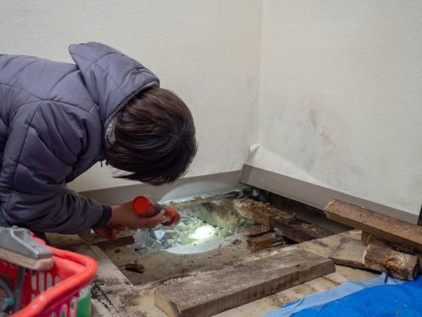 Best Industrial Mold Remediation  in Slocom, AL