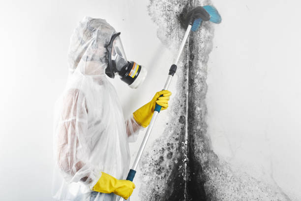Best Real Estate Mold Inspection  in Slocom, AL