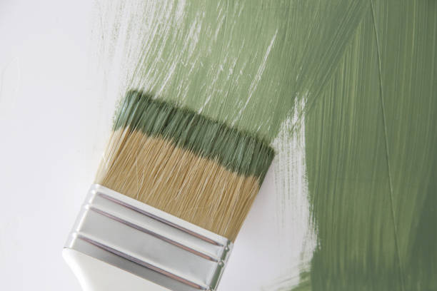 Best Attic Mold Removal  in Slocom, AL