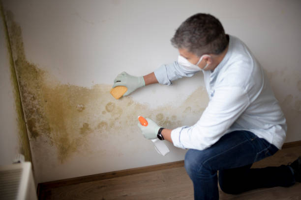 Best Forensic Mold Investigation  in Slocom, AL