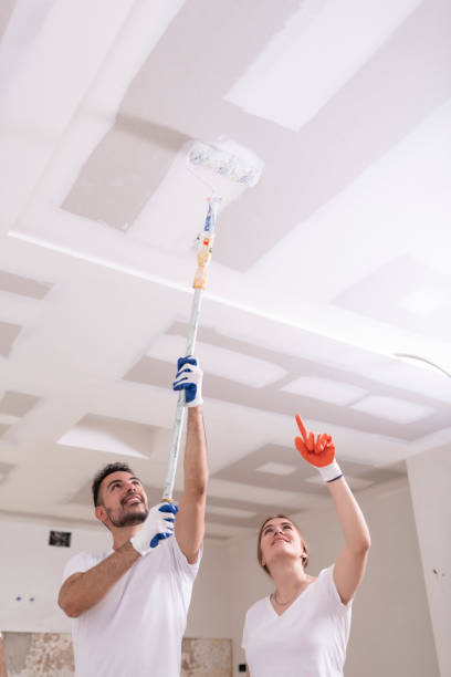 Best Basement Mold Removal  in Slocom, AL