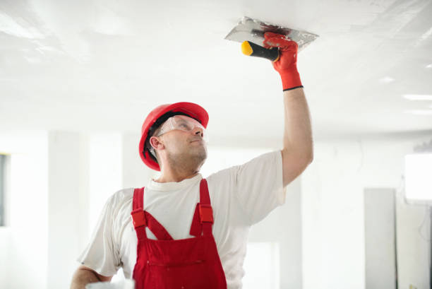 Trusted Slocom, AL Mold Removal Experts