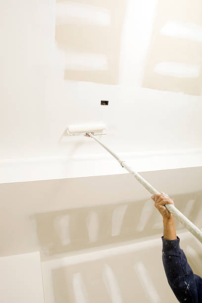 Best Mold Odor Removal Services  in Slocom, AL