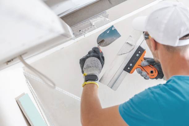 Best Post-Construction Mold Inspection  in Slocom, AL